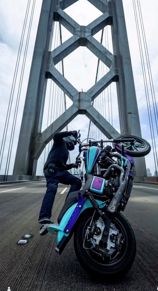 1999-2005 Harley Davidson Dyna Triple Caliper Brake Bracket